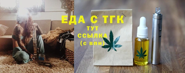 гидра Верхний Тагил