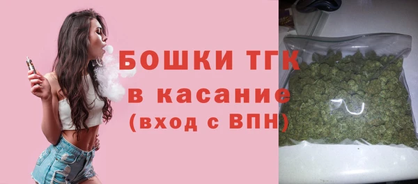 гидра Верхний Тагил