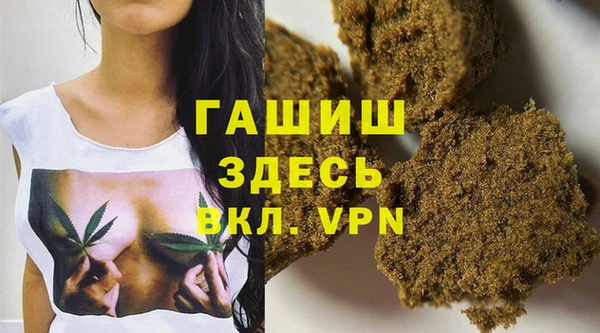 гидра Верхний Тагил