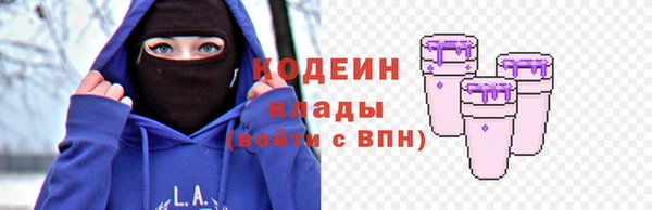 гидра Верхний Тагил