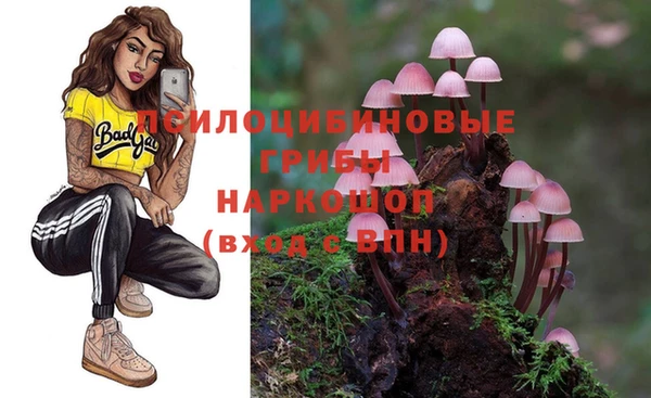 гидра Верхний Тагил