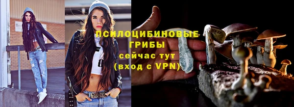 гидра Верхний Тагил