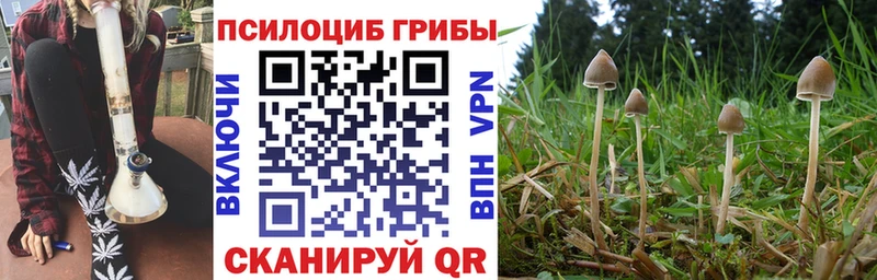 Псилоцибиновые грибы Magic Shrooms  Северобайкальск 